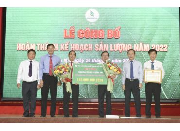 Năng suất vườn cây của Cao su Đồng Nai đạt trên 2,2 tấn/ha