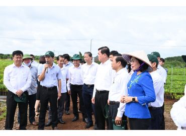 Cao su Đồng Nai có đóng góp quan trọng trong quá trình phát triển của tỉnh